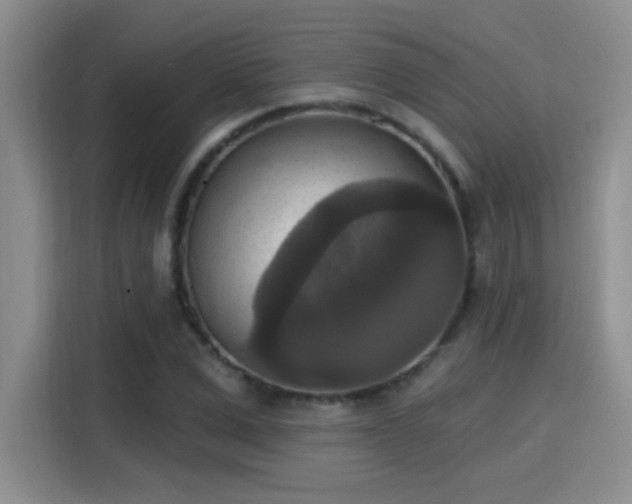 X0000115400975200911101509