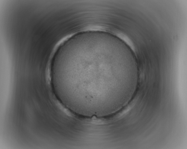 X0000115400979200911101509