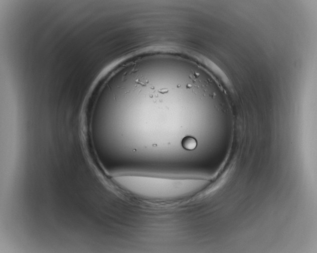 X0000115400981200911101509