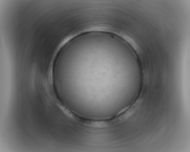 X0000115400982200911101509