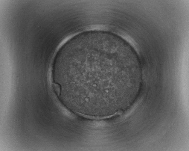 X0000115400983200911101509