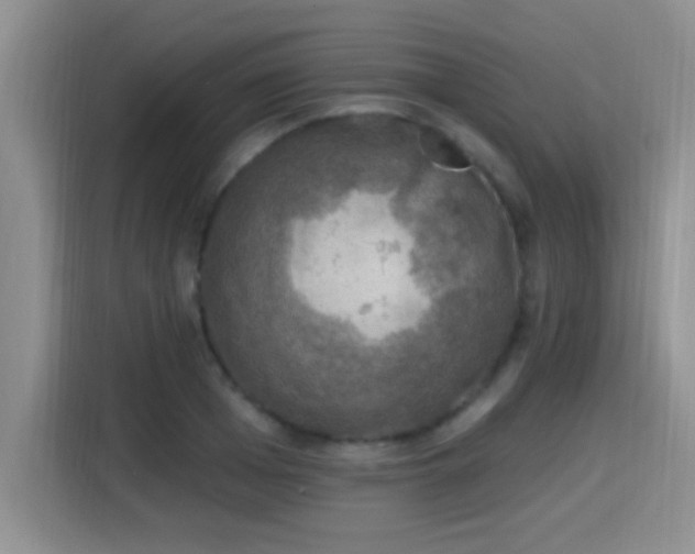 X0000115400985200911101509