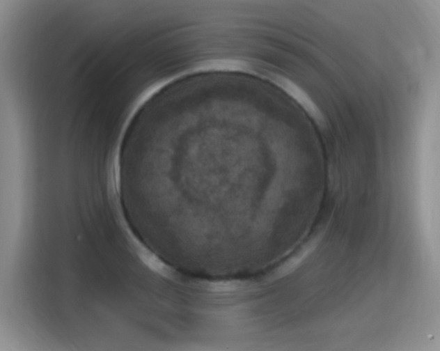 X0000115400988200911101509