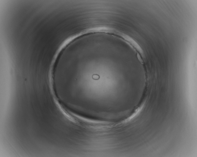 X0000115400989200911101509