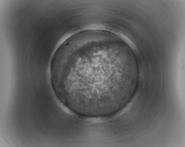 X0000115400990200911101509