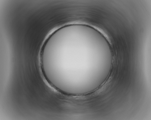 X0000115400998200911101508