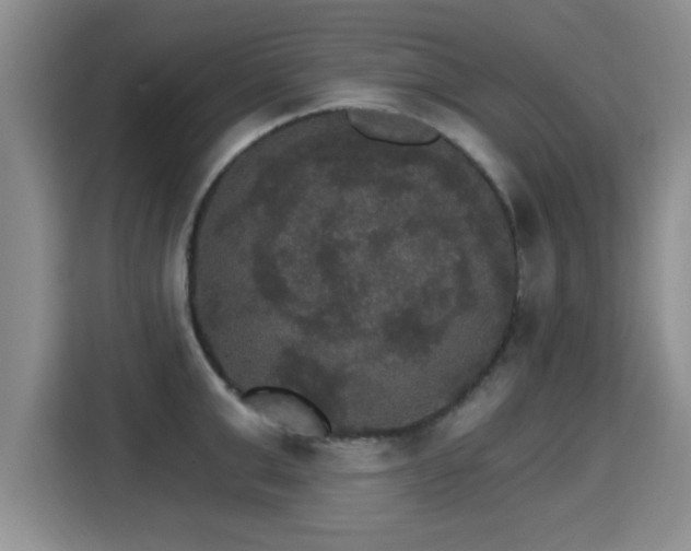 X0000115400999200911101508