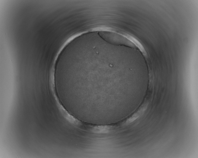 X0000115401000200911101508