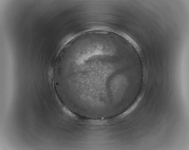 X0000115401001200911101508