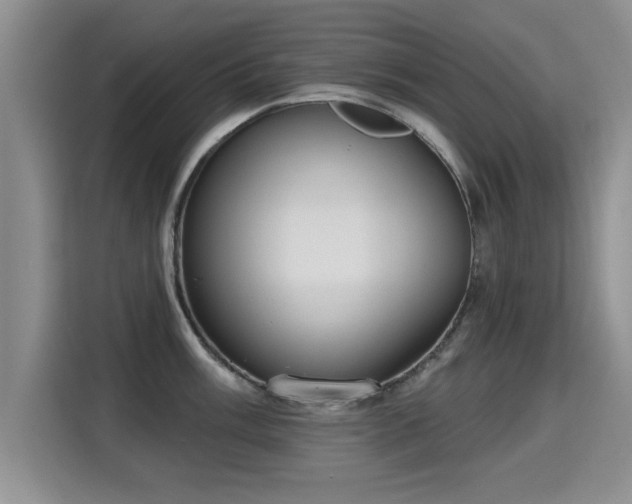 X0000115401003200911101508