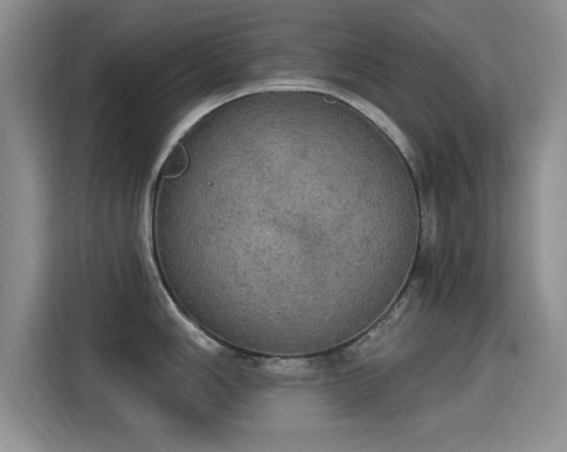 X0000115401006200911101508