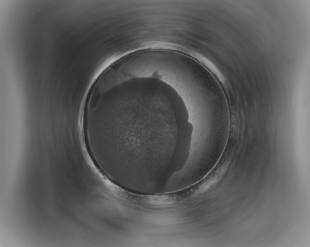 X0000115401007200911101508