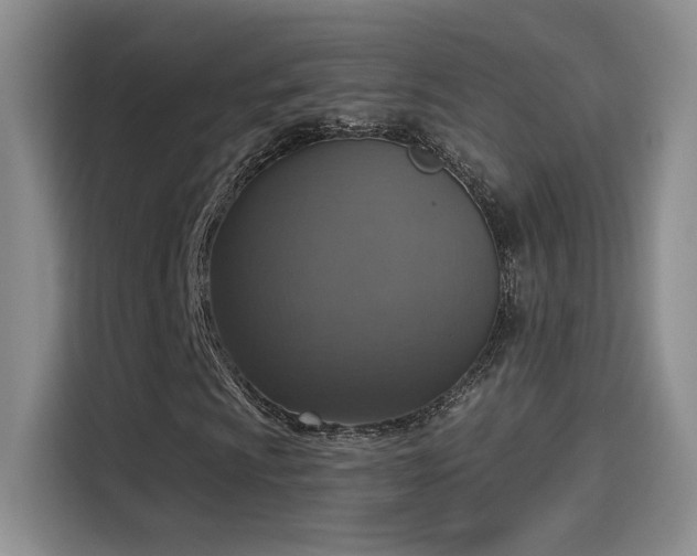 X0000115401009200911101508