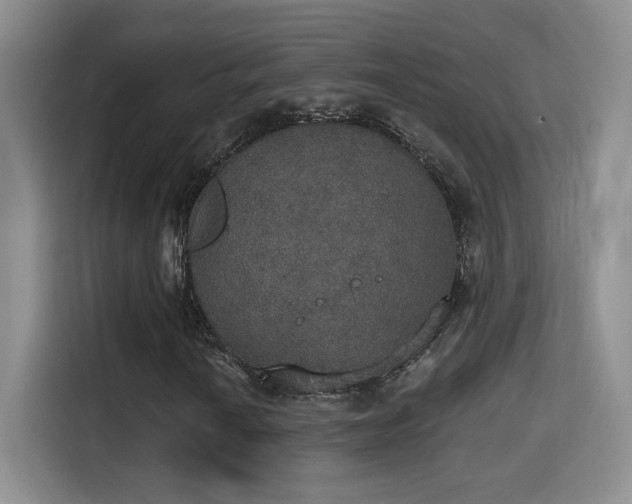 X0000115401010200911101508