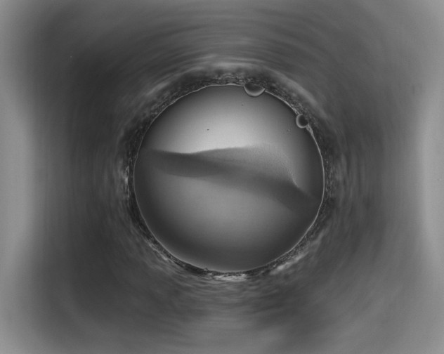 X0000115401013200911101508