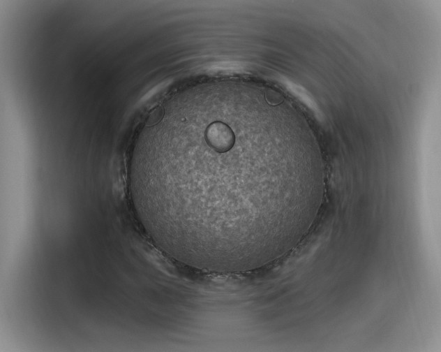 X0000115401015200911101508