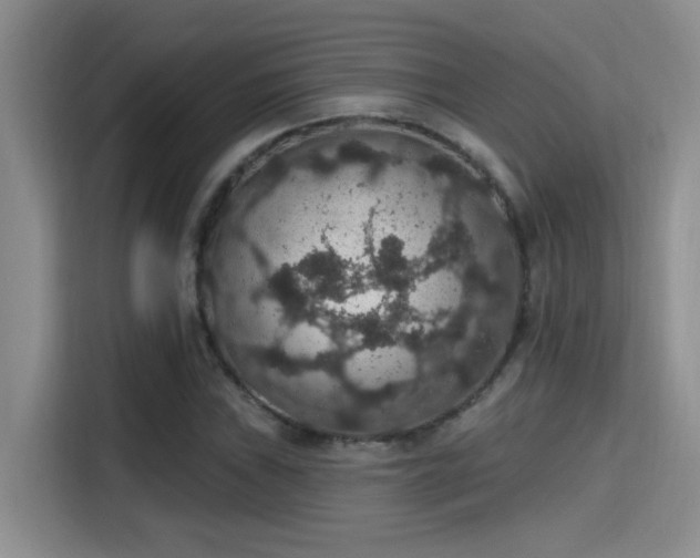 X0000115401019200911101508