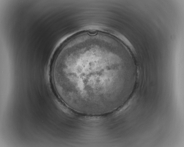 X0000115401020200911101508