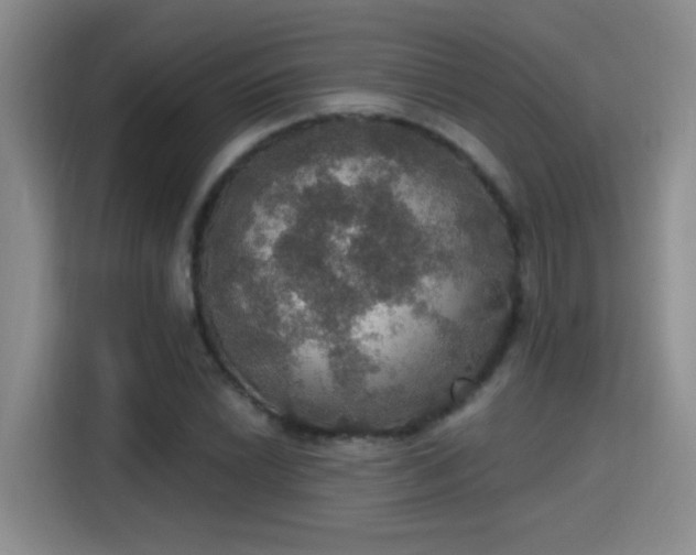 X0000115401022200911101508