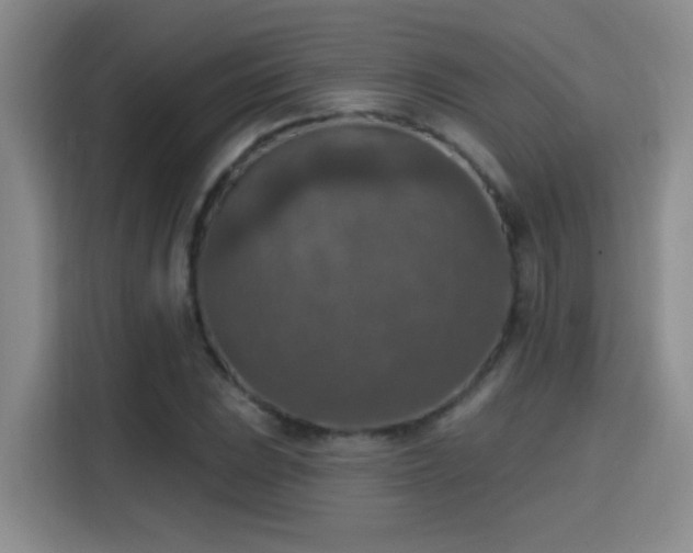 X0000115401023200911101508