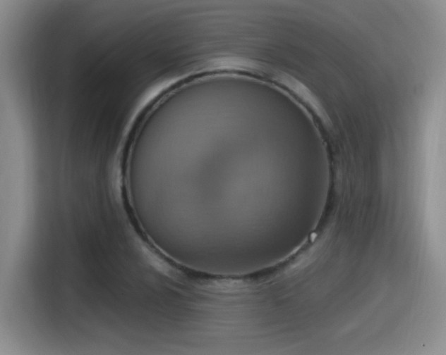 X0000115401024200911101508