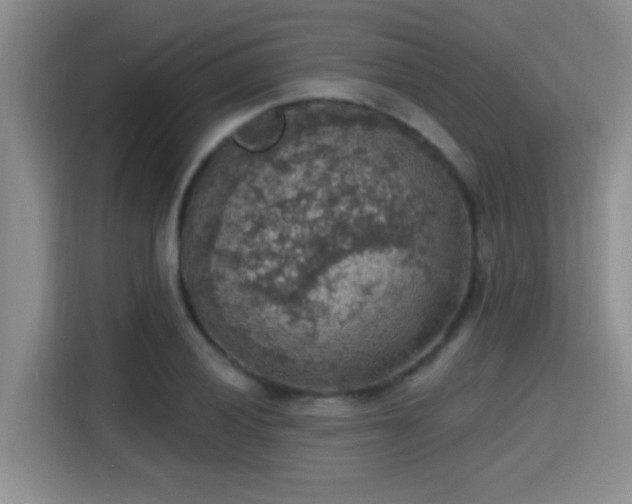 X0000115401028200911101508