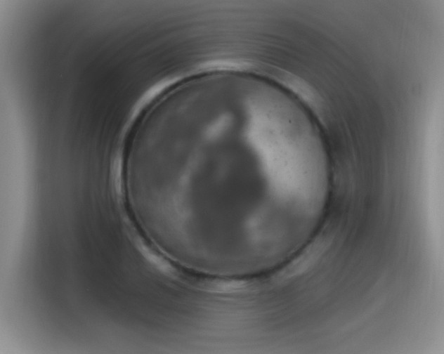 X0000115401030200911101508
