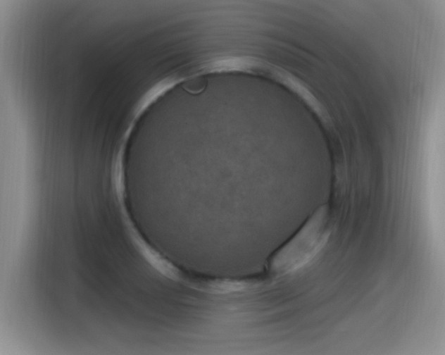 X0000115401034200911101508