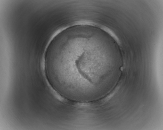 X0000115401040200911101508