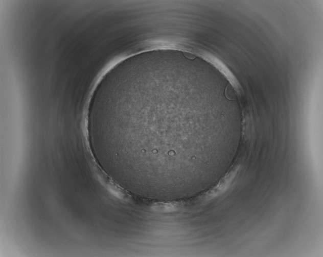 X0000115401051200911101508