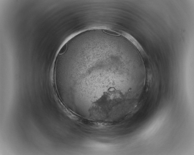 X0000115401052200911101508