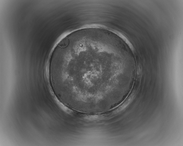 X0000115401054200911101508
