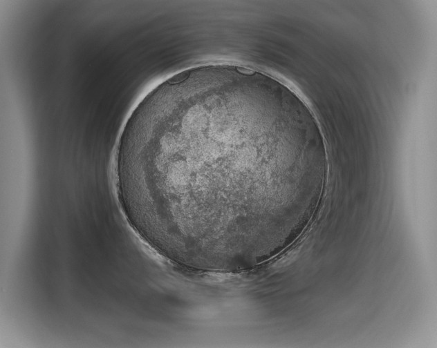 X0000115401056200911101508