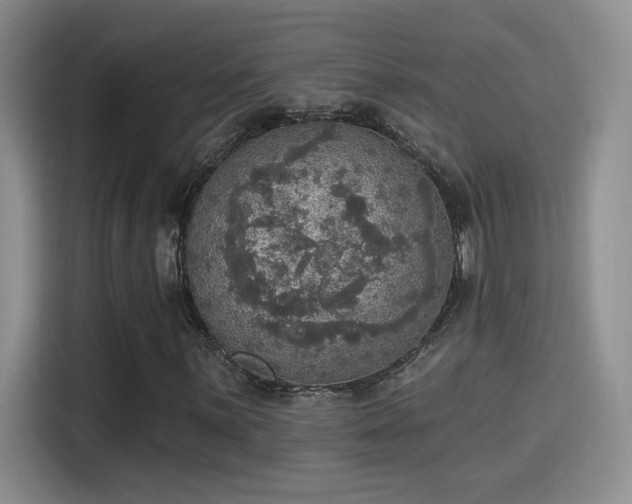 X0000115401059200911101508