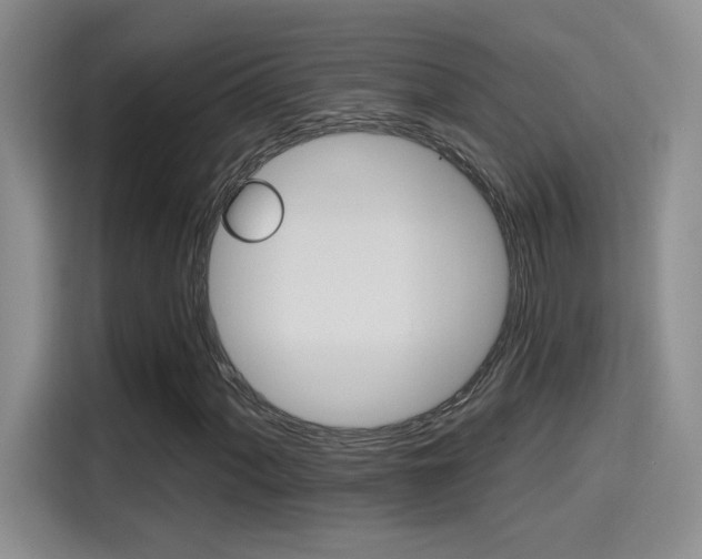 X0000115401060200911101508