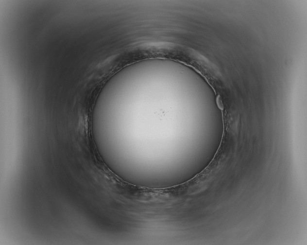 X0000115401061200911101508