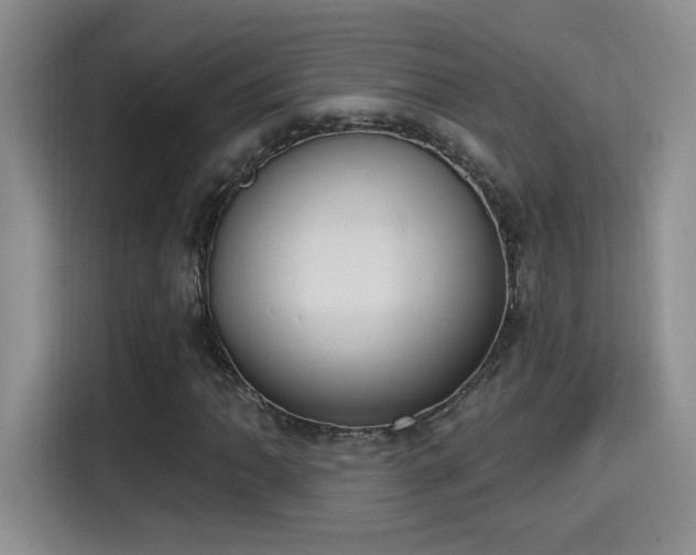X0000115401062200911101508