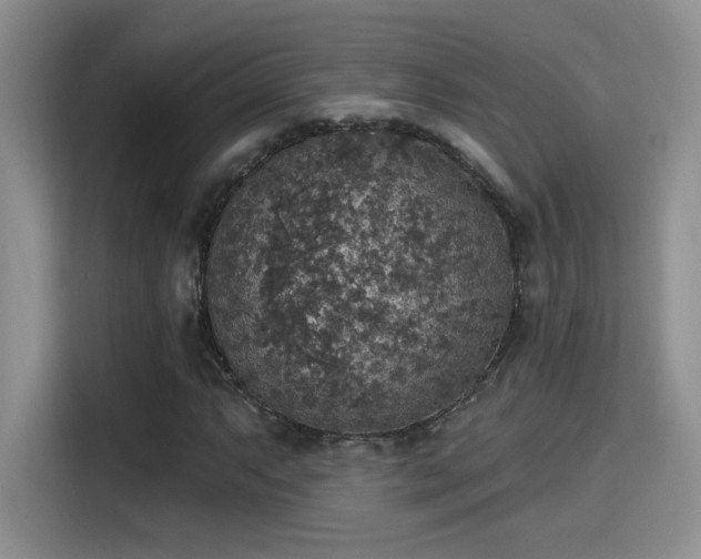 X0000115401063200911101508