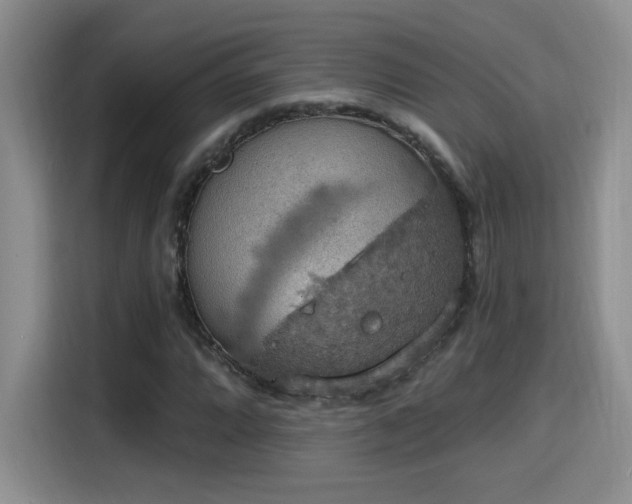 X0000115401064200911101508