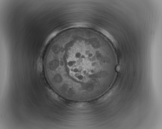 X0000115401067200911101508