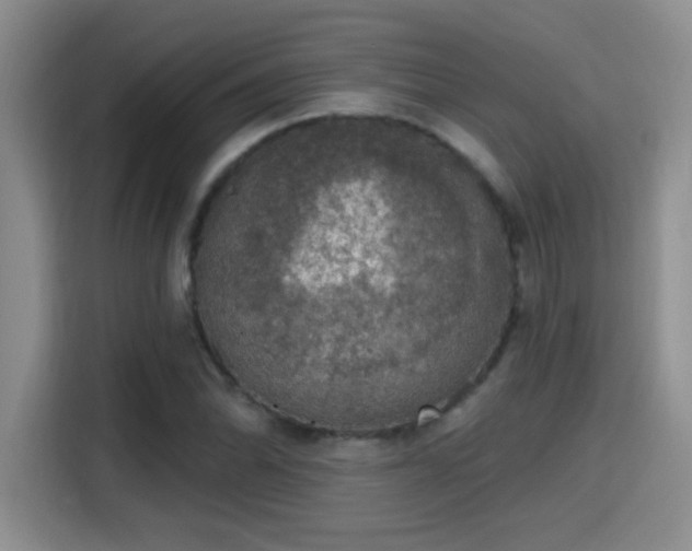 X0000115401070200911101507