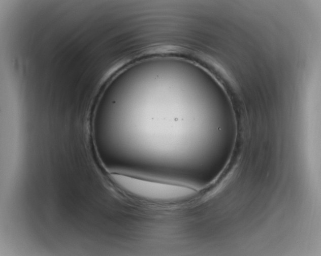 X0000115401073200911101507