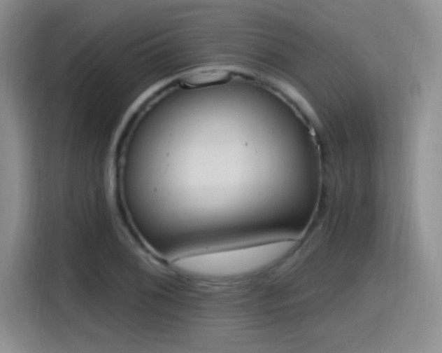 X0000115401076200911101507