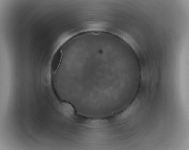X0000115401077200911101507