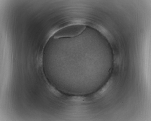 X0000115401081200911101507