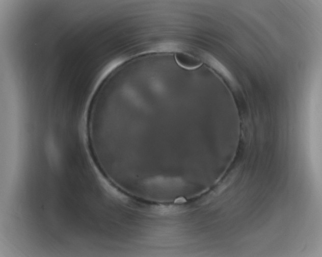 X0000115401087200911101507
