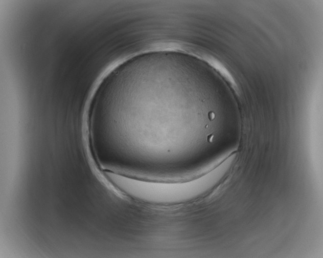 X0000115401088200911101507