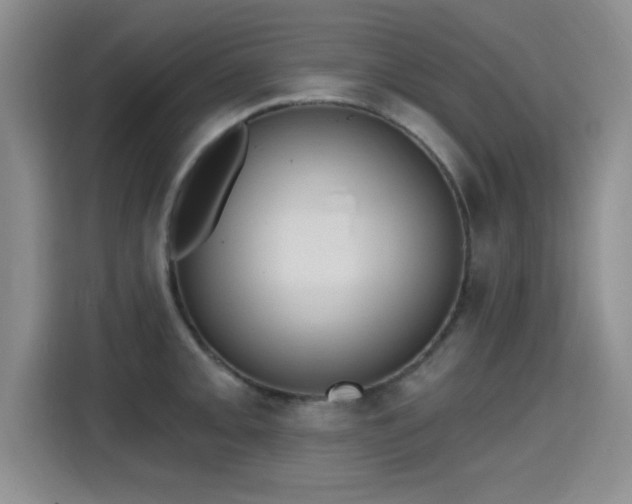 X0000115401093200911101507