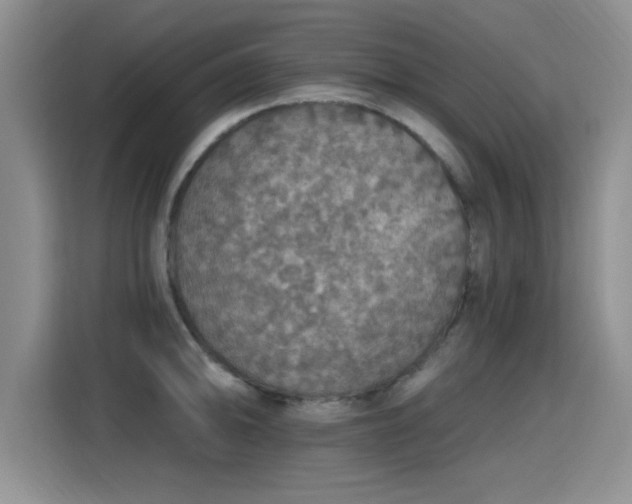 X0000115401094200911101507