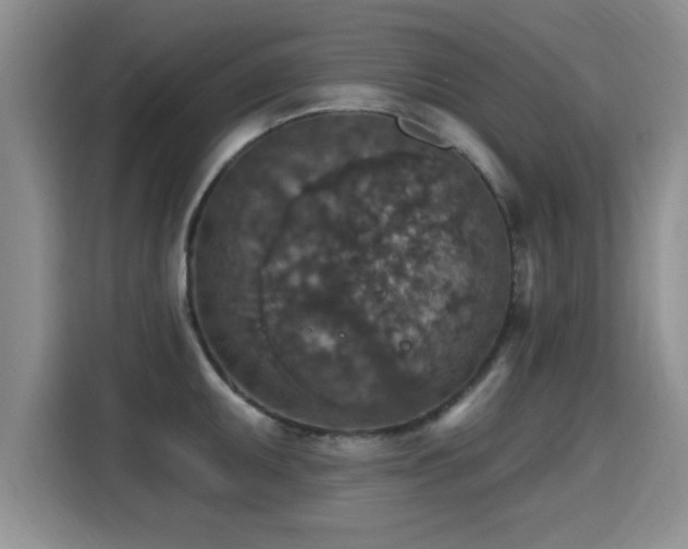 X0000115401095200911101507